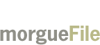 morguefile.com