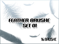 Feather set 001